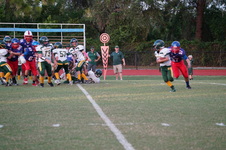 Enlarge photo 266