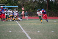 Enlarge photo 267