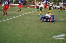 Enlarge photo 268
