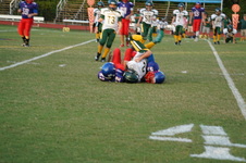 Enlarge photo 269