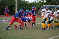 Enlarge photo 273