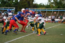 Enlarge photo 274