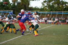 Enlarge photo 275
