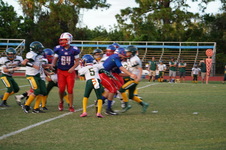 Enlarge photo 277