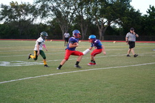 Enlarge photo 280