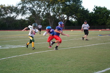 Enlarge photo 281