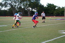 Enlarge photo 282