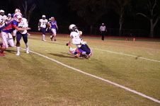 Enlarge photo 288