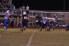 Enlarge photo 95