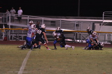 Enlarge photo 97