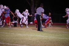Enlarge photo 105