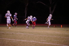 Enlarge photo 154