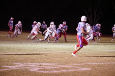 Enlarge photo 243