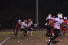 Enlarge photo 58