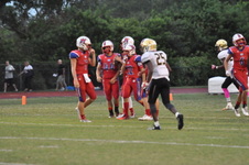 Enlarge photo 106