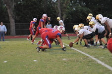 Enlarge photo 114