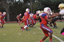 Enlarge photo 120