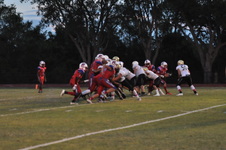 Enlarge photo 257