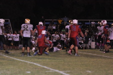 Enlarge photo 380