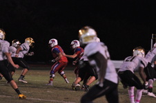 Enlarge photo 462