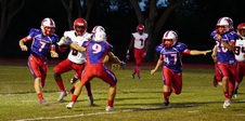 Enlarge photo 28
