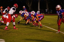 Enlarge photo 48