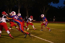 Enlarge photo 51