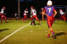 Enlarge photo 62