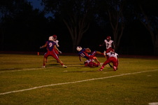 Enlarge photo 90