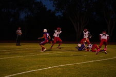 Enlarge photo 92