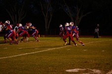 Enlarge photo 95