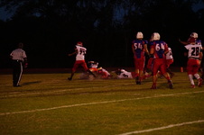 Enlarge photo 99