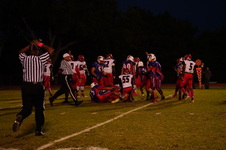 Enlarge photo 114