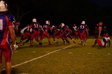 Enlarge photo 125