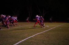 Enlarge photo 269