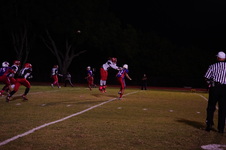 Enlarge photo 274