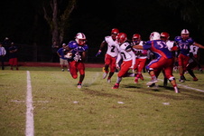 Enlarge photo 409