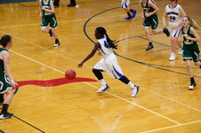 Enlarge photo 492