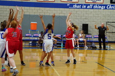 Enlarge photo 117