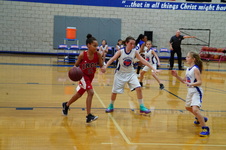 Enlarge photo 132