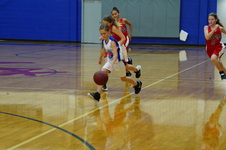 Enlarge photo 159