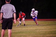 Enlarge photo 88
