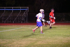 Enlarge photo 113
