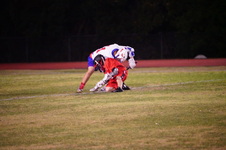 Enlarge photo 121