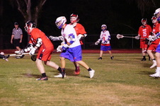 Enlarge photo 226