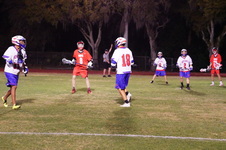 Enlarge photo 240