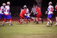 Enlarge photo 455