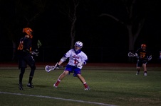 Enlarge photo 41