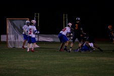 Enlarge photo 44