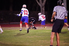 Enlarge photo 166